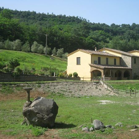 Apartmán Alloggio Turistico Mooneyes Castiglione In Teverina Exteriér fotografie