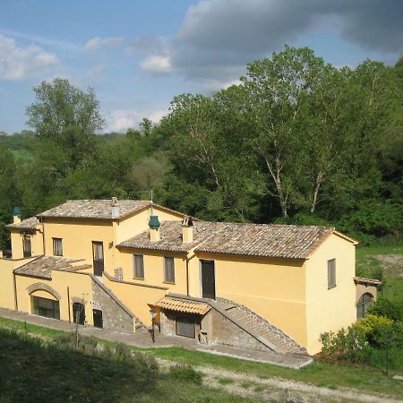 Apartmán Alloggio Turistico Mooneyes Castiglione In Teverina Exteriér fotografie