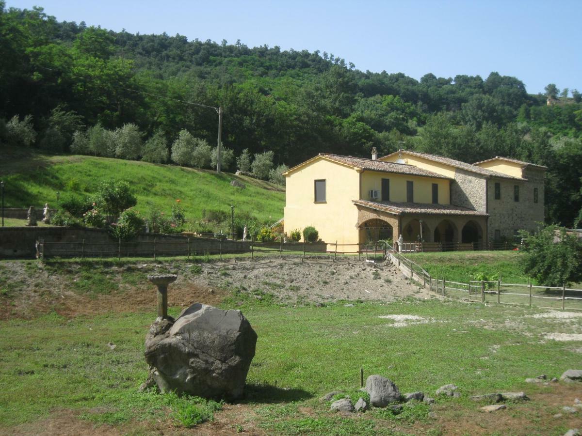 Apartmán Alloggio Turistico Mooneyes Castiglione In Teverina Exteriér fotografie