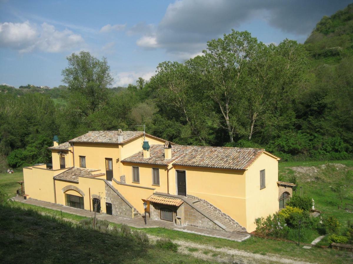 Apartmán Alloggio Turistico Mooneyes Castiglione In Teverina Exteriér fotografie
