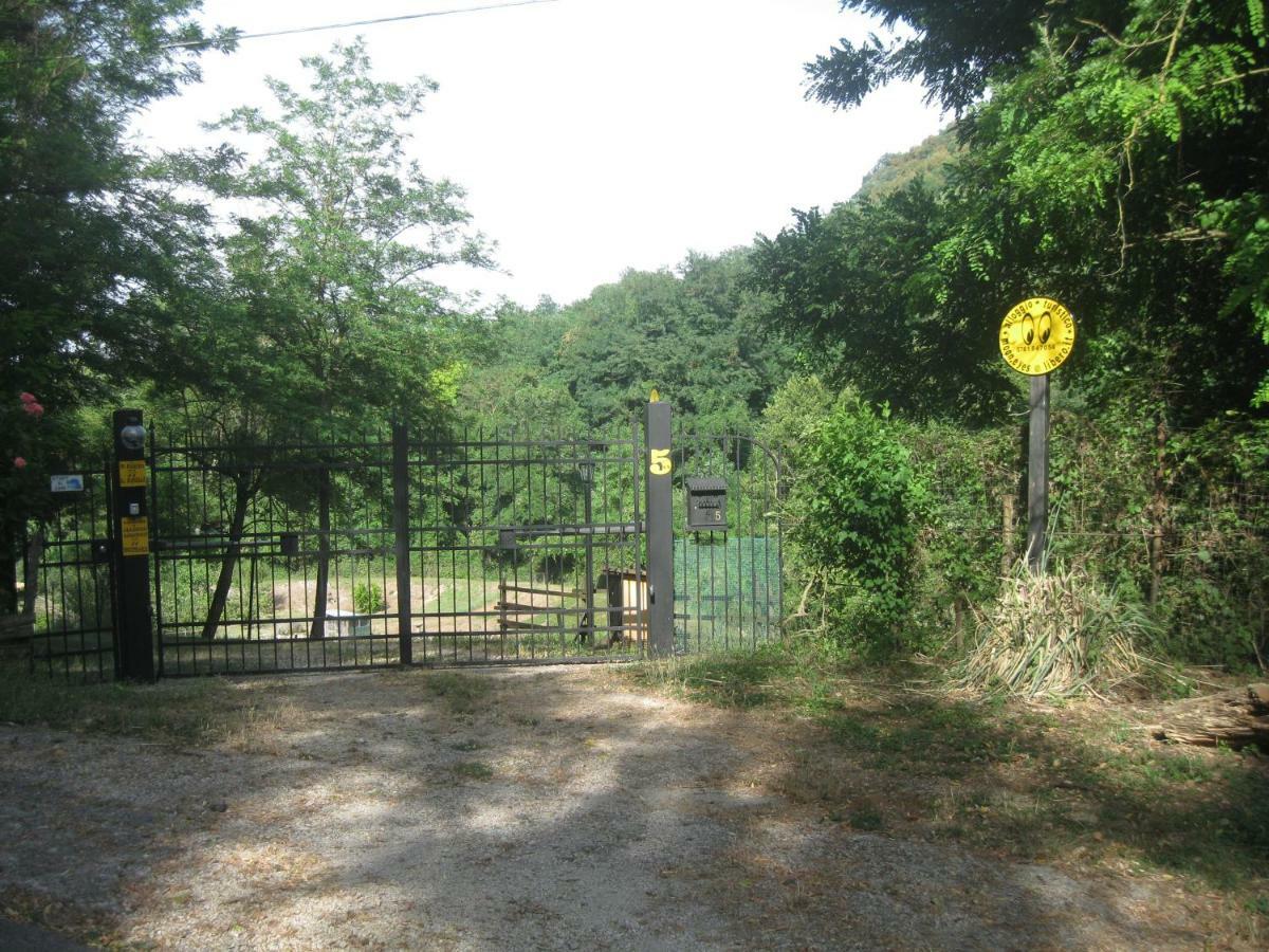 Apartmán Alloggio Turistico Mooneyes Castiglione In Teverina Exteriér fotografie